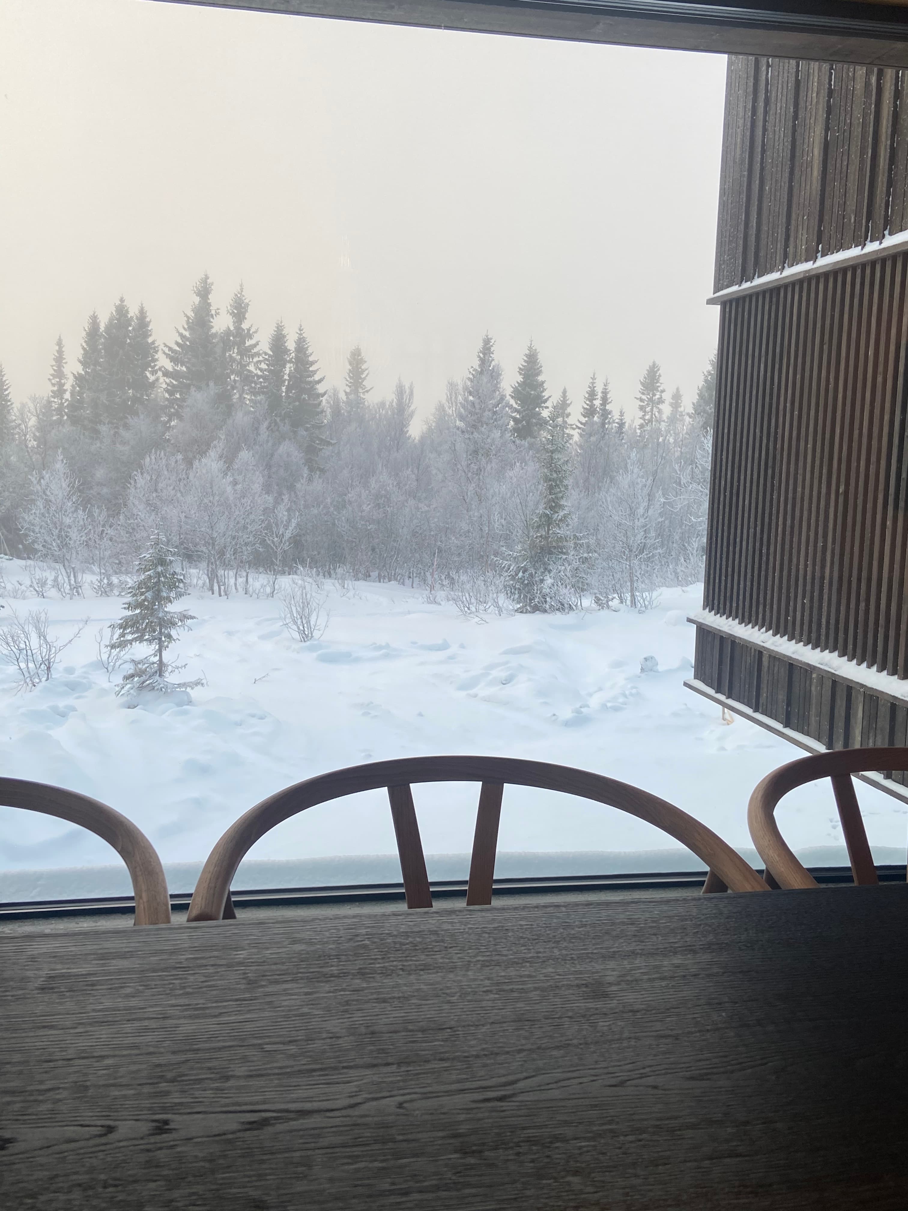 Arkitekttegnet villa i Åre